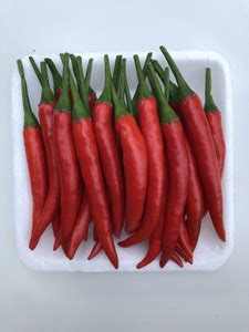 Farmonix Thai Premium Red Chilli Seed Price in India - Buy Farmonix ...