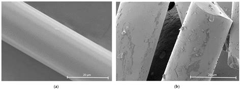 Organomorphic Silicon Carbide Reinforcing Preform Formation Mechanism