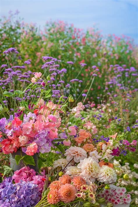 Walled Garden – Gordon Castle and Walled Garden