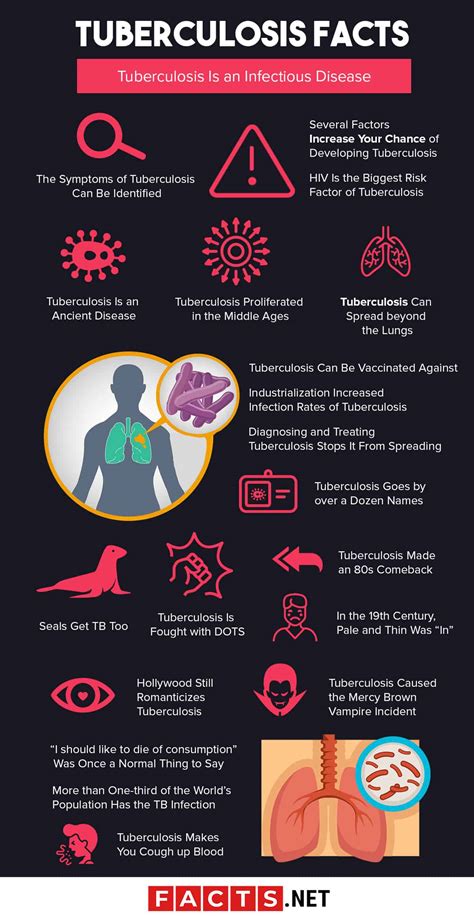 20 Tuberculosis Facts - Diagnosis, Prevention & Risks & More | Facts.net