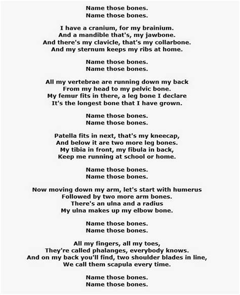 Ready, steady...learn!: Song: Name those bones