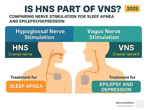 Is hypoglossal nerve stimulation part of vagus nerve stimulation? 1 Crucial False.