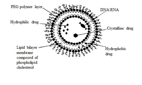 Fig. 4: Structure of cryptosome