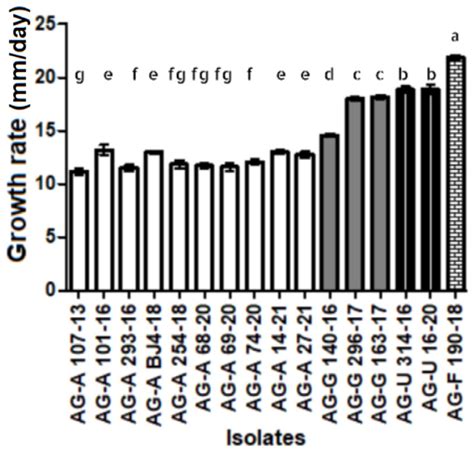 Diversity of Binucleate Rhizoctonia spp. and Population Structure of AG ...