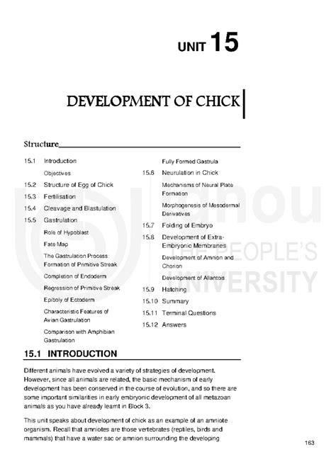 Unit 15: Development of Chick - Embryogenesis and Gastrulation Insights ...