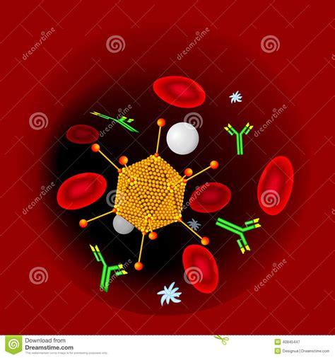 病毒传染、抗体和血细胞 向量例证. 插画 包括有 - 40845447