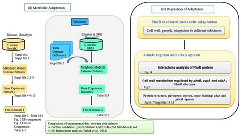 Microorganisms | Special Issue : Staphylococcal Infections (Host and ...