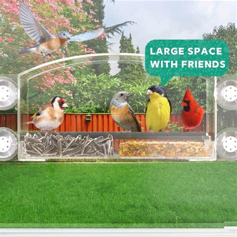 Buy Hycency Window Bird Feeder Window Bird Feeders with Strong Suction ...