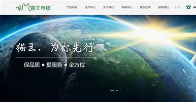 上海模板建站软件 的图像结果
