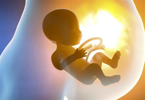 胚胎停育的原因是什么？哪些人容易胎停？ - 哔哩哔哩