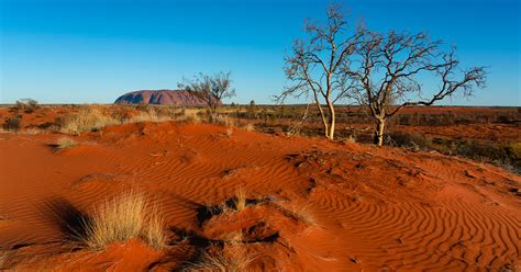 Unveiling the Heartbeat of Aboriginal Land Councils: A Journey of Empowerment and Cultural Preservation