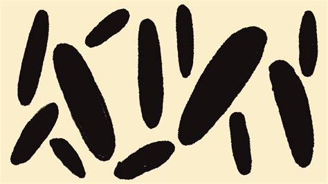 Internet E-Mail Providers 的图像结果