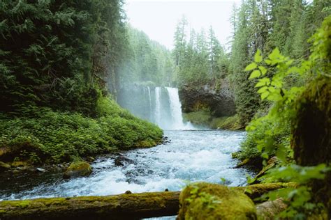 15 Bucket-List Worthy Oregon waterfalls you need See To Believe! - The ...