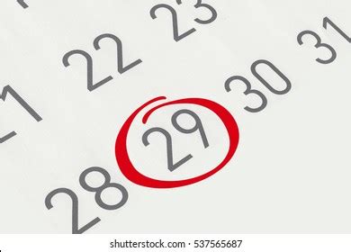 Number 29 Images, Stock Photos & Vectors | Shutterstock