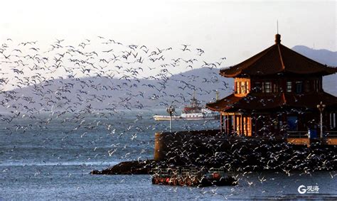 琉璃万顷抚仙湖 中国最大的深水型淡水湖泊 藏大型水下古城遗迹