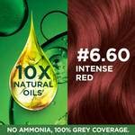 Buy Garnier Color Naturals Shade 6.60 Intense Red Hair Color at Best ...