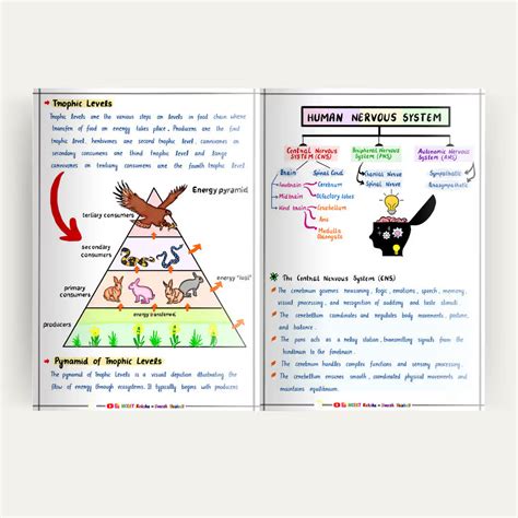 Social Science Class 10 (SST) Notes / Book / Topper's Notes / SST Shor ...