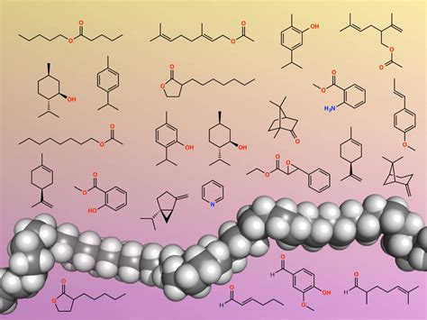 Image result for Biochemistry Lesson