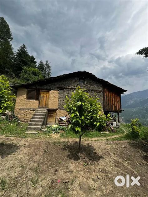 50 years old house for lease - For Sale: Houses & Apartments - 1807000403