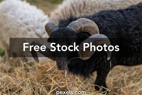 RAM Types 的图像结果