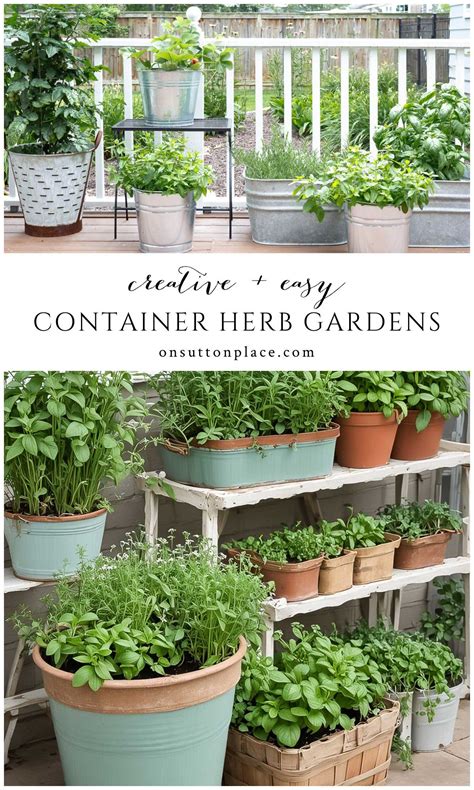 Creative Container Herb Garden Ideas for Every Space | Container herb ...