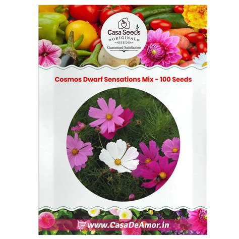 Cosmos Dwarf Sensations Mix - 100 Seeds – Casa De Amor