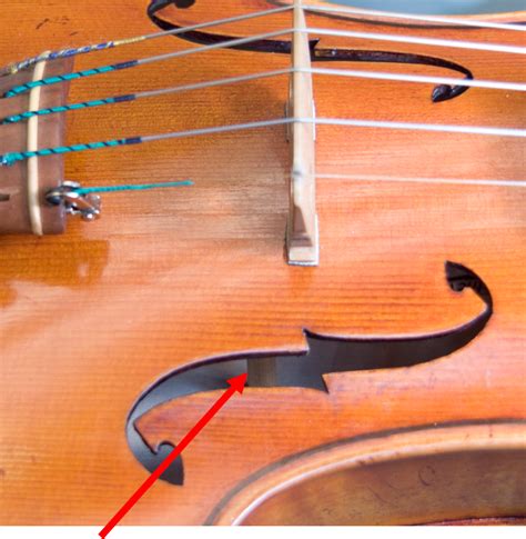 Image result for String Instruments Sound