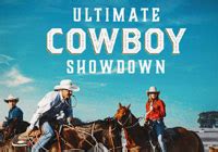 Python Cowboy Code 的图像结果