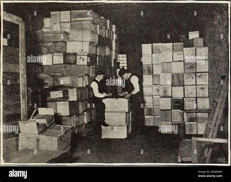 CASES OF EGGS IN COLD STORAGE Stock Photo - Alamy