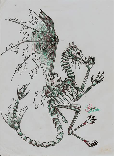 Dragon Skeleton Drawing 的图像结果