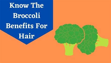 Broccoli for Hair: 7 Incredible Broccoli Benefits For Hair & Skin | Livlong