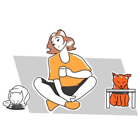 Feeding Multiple Cats with Differing Nutritional Needs - IAMS