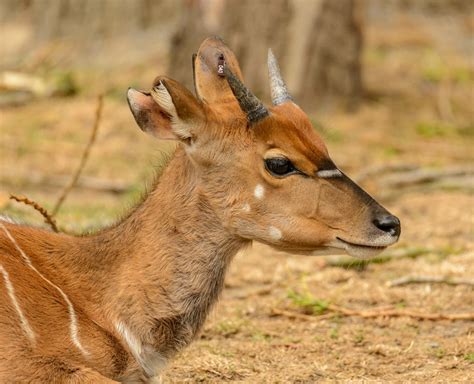 Image result for Code Blue Two-Way Communication