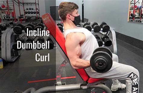 How To: Seated Incline Dumbbell Bicep Curl | atelier-yuwa.ciao.jp