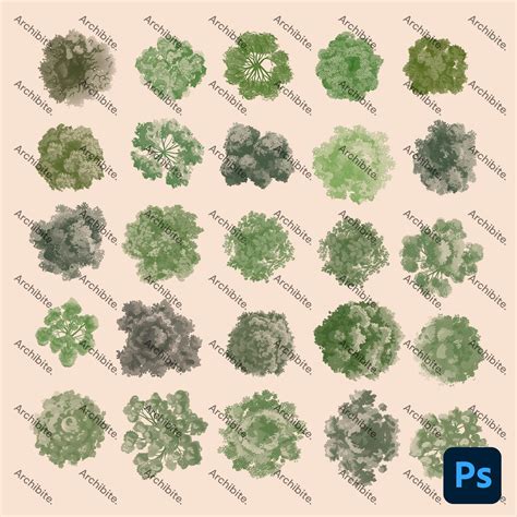 Photoshop Brushes - Summer Trees Plan - Etsy