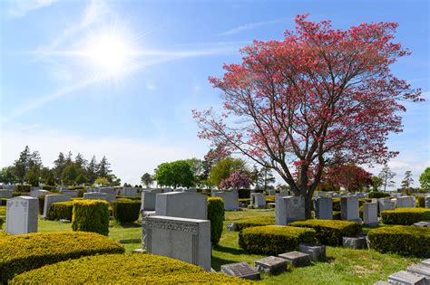 Photo Gallery | New Montefiore Cemetery