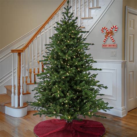 10 ft. Pre-Lit Douglas Fir Hinged Tree with Warm White LED Lights ...