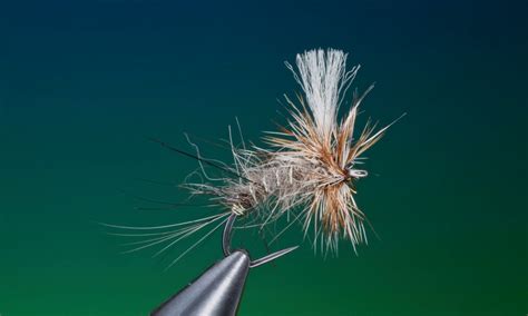 Image result for Emerger Fly Pattern