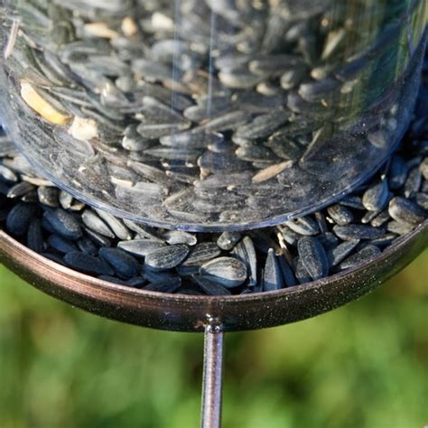 National Audubon Society Black Oil Sunflower Seed Black Oil Sunflower ...
