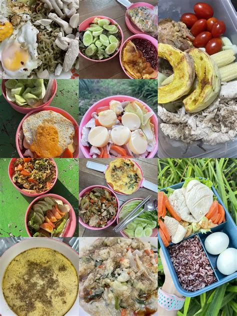 Image result for Classification System Examples