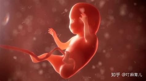 胎动频繁是宝宝太活泼？可能是胎儿的求救信号，孕妇别忽视 - 知乎
