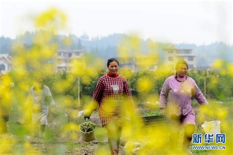 贵州黔西：春种备耕农事忙-人民图片网