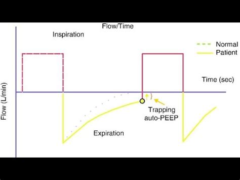 Image result for Peepcoding Com