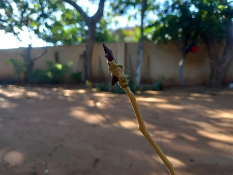 Primitive Skill Technology 的图像结果