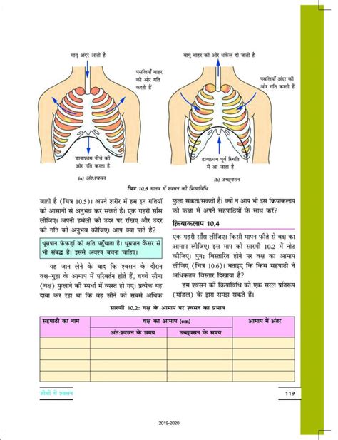 Class 7 Science Chapter 10 的图像结果