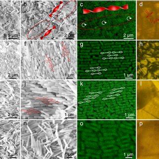 Image result for Dbcs Machine Video