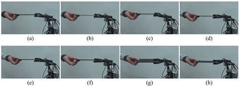 Development of a Real-Time Human-Robot Collaborative System Based on 1 ...