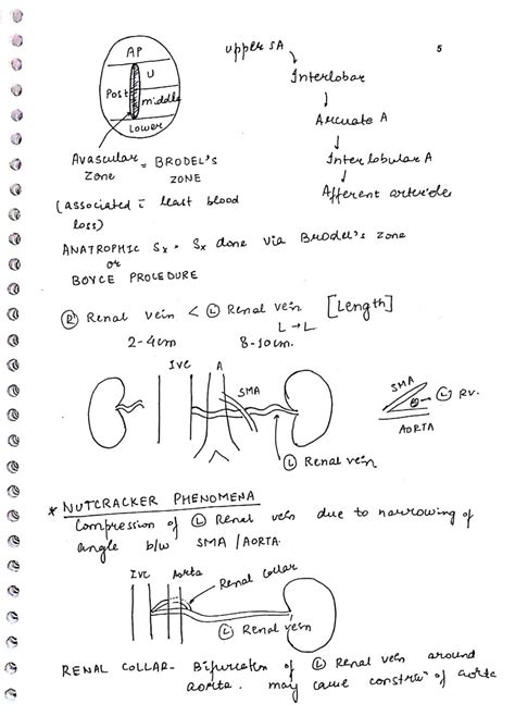 Image result for Handwritten Tutorials Kidney