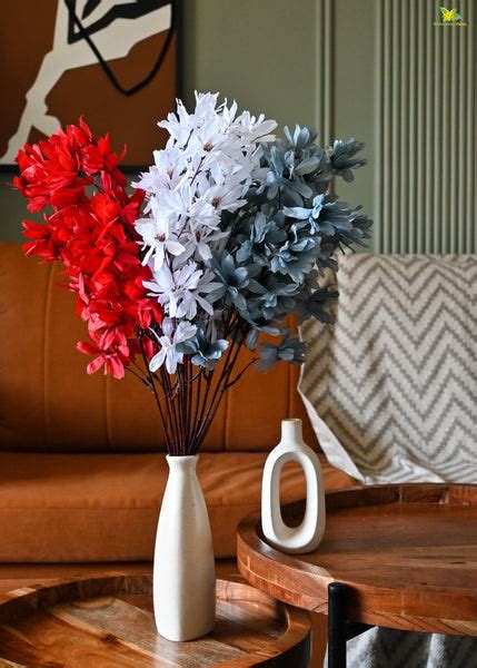 Indoor Plants as per Vastu – Blooming Floret