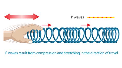 Primary Waves 的图像结果